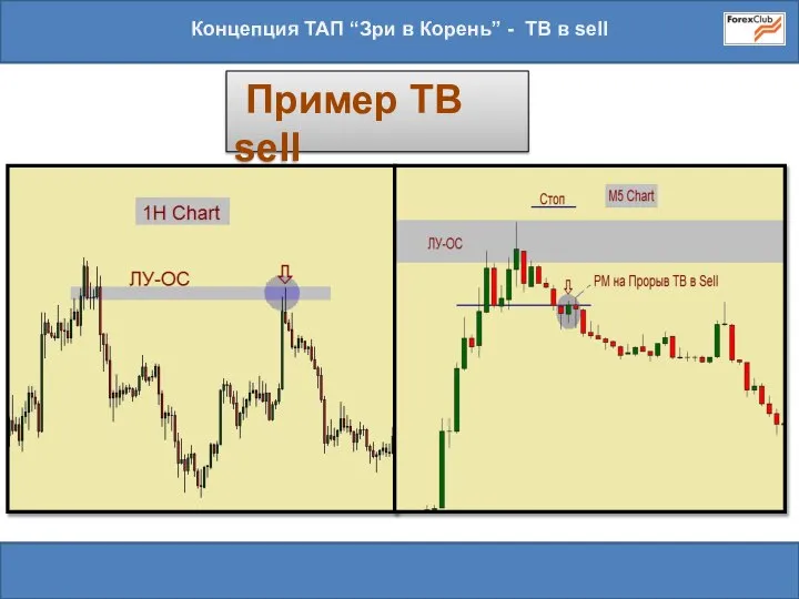 Концепция ТАП “Зри в Корень” - ТВ в sell Пример TB sell