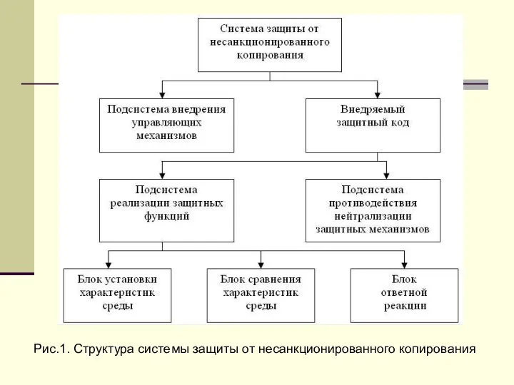 Рис.1. Структура системы защиты от несанкционированного копирования