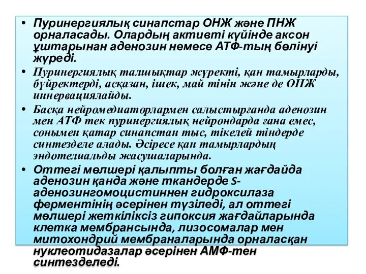 Пуринергиялық синапстар ОНЖ және ПНЖ орналасады. Олардың активті күйінде аксон ұштарынан аденозин