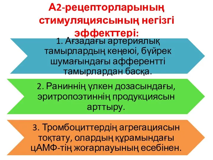 А2-рецепторларының стимуляциясының негізгі эффекттері: