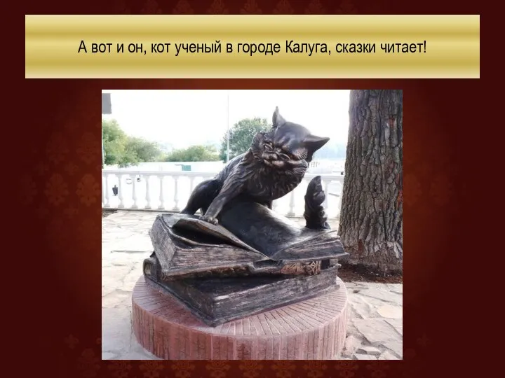 А вот и он, кот ученый в городе Калуга, сказки читает!