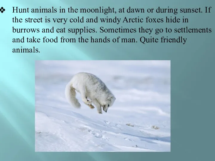 Hunt animals in the moonlight, at dawn or during sunset. If the