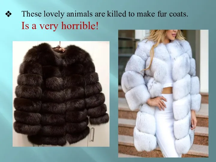 Тhese lovely animals are killed to make fur coats. Is a very horrible!