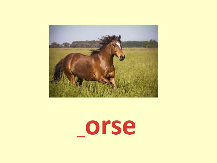 _orse