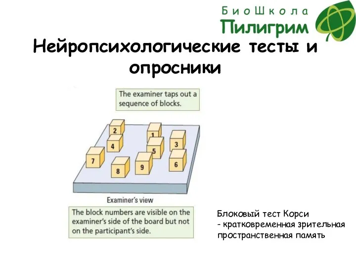 Нейропсихологические тесты и опросники Блоковый тест Корси - кратковременная зрительная пространственная память