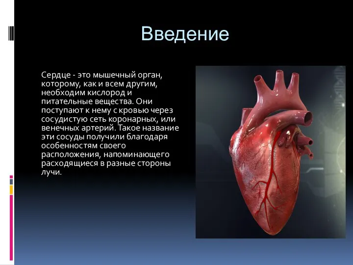 Введение Сердце - это мышечный орган, которому, как и всем другим, необходим