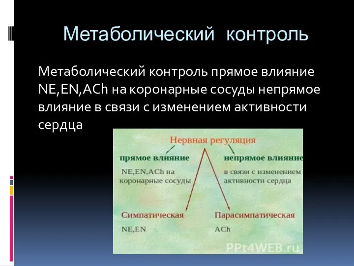 Метаболический контроль Метаболический контроль прямое влияние NE,EN,AСh на коронарные сосуды непрямое влияние