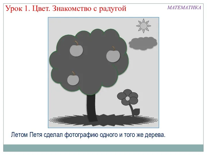 Урок 1. Цвет. Знакомство с радугой Летом Петя сделал фотографию одного и того же дерева. МАТЕМАТИКА