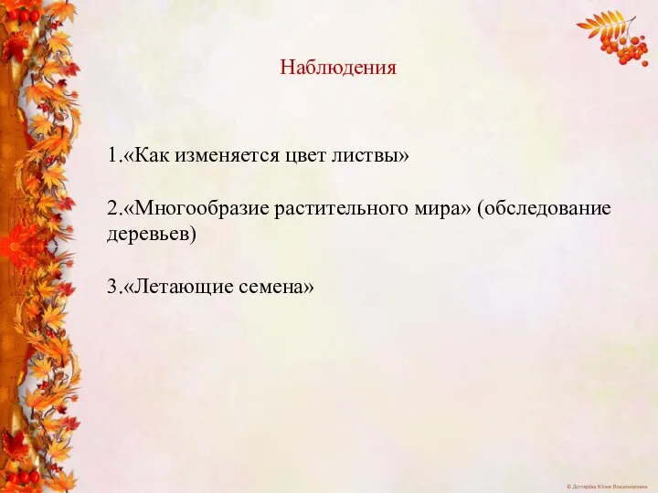 1.«Как изменяется цвет листвы» 2.«Многообразие растительного мира» (обследование деревьев) 3.«Летающие семена» Наблюдения