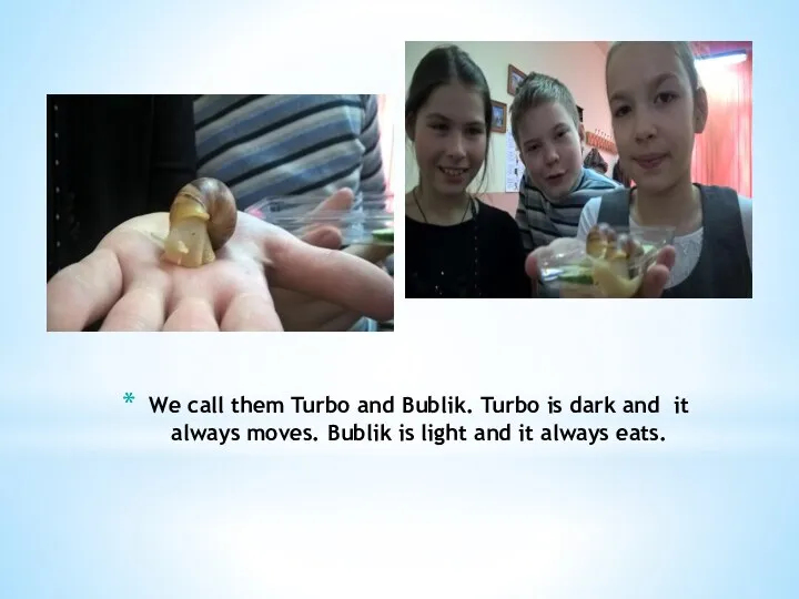 We call them Turbo and Bublik. Turbo is dark and it always