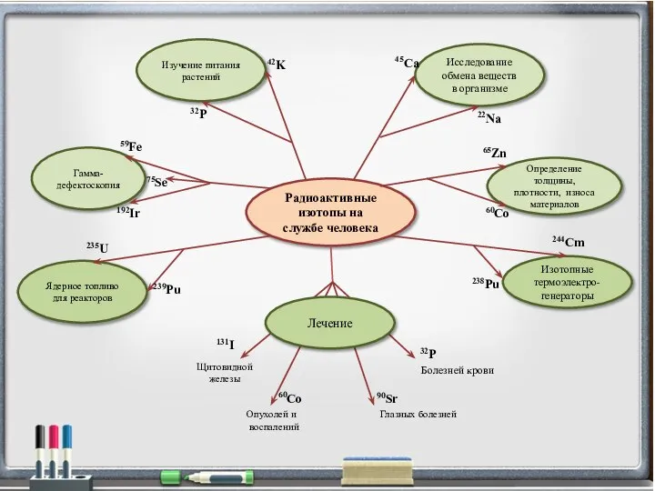 Радиоактивные изотопы на службе человека Исследование обмена веществ в организме Изучение питания