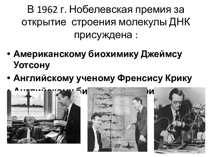 В 1962 г. Нобелевская премия за открытие строения молекулы ДНК присуждена :