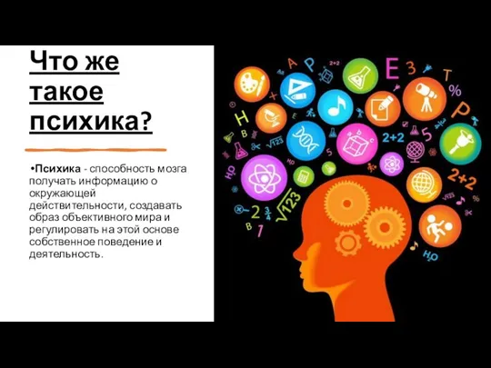 Что же такое психика? Психика - способность мозга получать информацию о окружающей