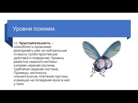 Уровни психики. 2. Чувствительность – способность организма реагировать уже на нейтральные стимулы