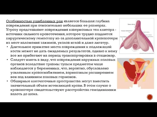 Особенностью ушибленных ран является большая глубина повреждения при относительно небольших ее размерах.