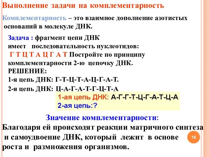 Выполнение задачи на комплементарность Комплементарность – это взаимное дополнение азотистых оснований в