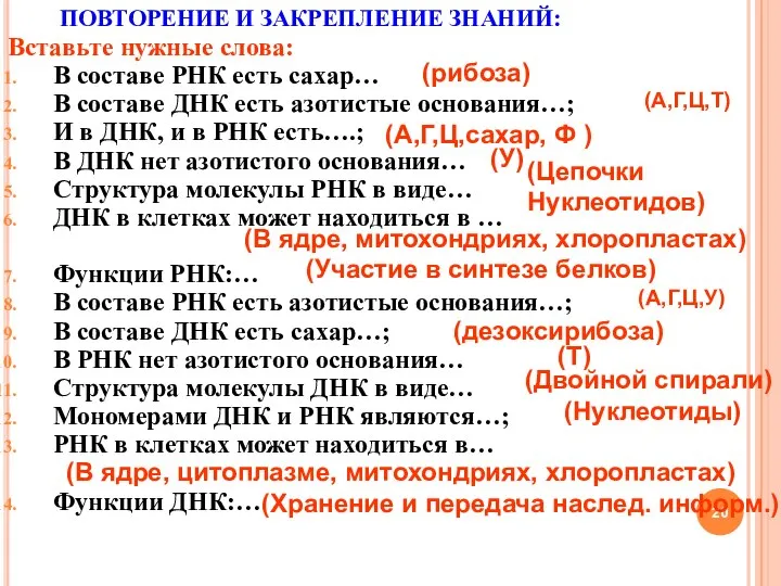 ПОВТОРЕНИЕ И ЗАКРЕПЛЕНИЕ ЗНАНИЙ: Вставьте нужные слова: В составе РНК есть сахар…