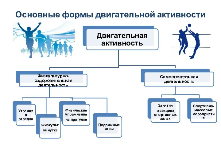 Основные формы двигательной активности