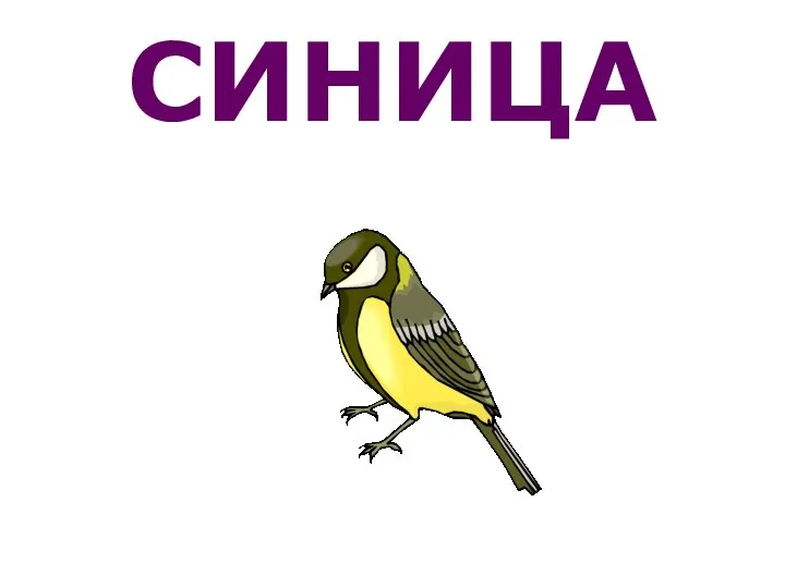 СИНИЦА