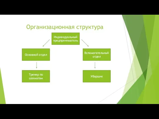 Организационная структура Индивидуальный предприниматель Вспомогательный отдел Основной отдел Тренер по шахматам Уборщик