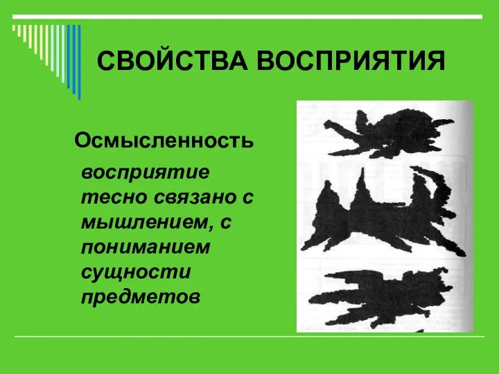 СВОЙСТВА ВОСПРИЯТИЯ Осмысленность восприятие тесно связано с мышлением, с пониманием сущности предметов