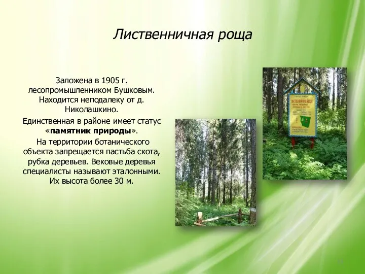 Лиственничная роща Заложена в 1905 г. лесопромышленником Бушковым. Находится неподалеку от д.