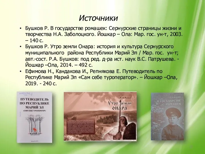 Источники Бушков Р. В государстве ромашек: Сернурские страницы жизни и творчества Н.А.