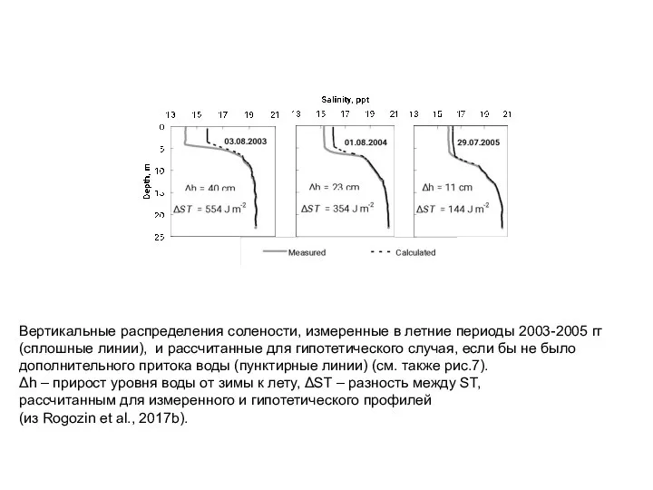 Вертикальные распределения солености, измеренные в летние периоды 2003-2005 гг (сплошные линии), и