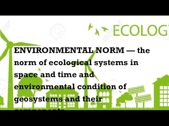 ENVIRONMENTAL NORM — the norm of ecological systems in space and time