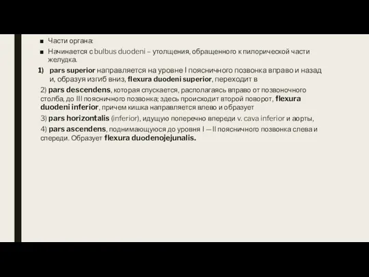 Части органа: Начинается с bulbus duodeni – утолщения, обращенного к пилорической части