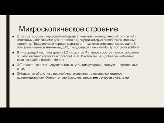 Микроскопическое строение 1) Tunica mucosa – однослойный призматический (цилиндрический) эпителий с кишечными