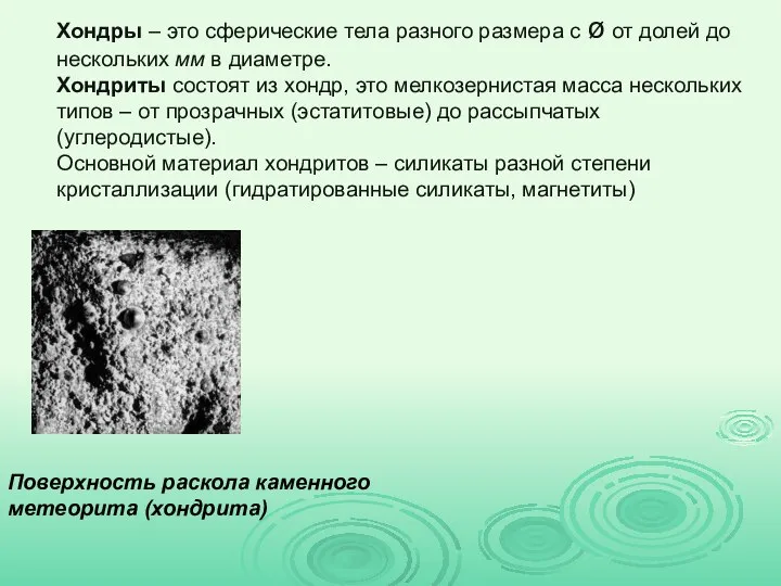 Хондры – это сферические тела разного размера с ø от долей до