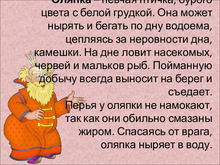 Оляпка – певчая птичка, бурого цвета с белой грудкой. Она может нырять