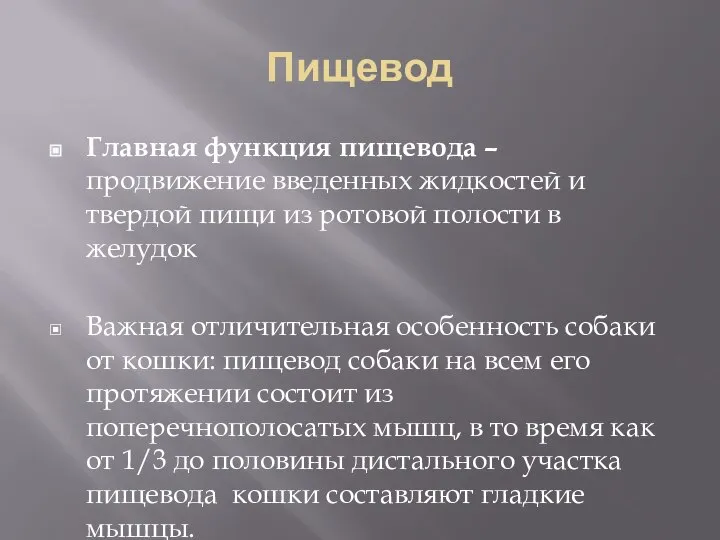 Пищевод Главная функция пищевода – продвижение введенных жидкостей и твердой пищи из