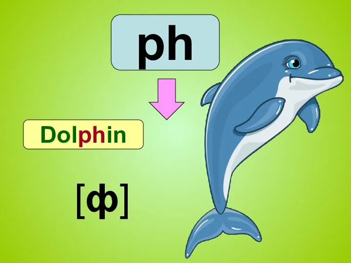 ph Dolphin [ф]