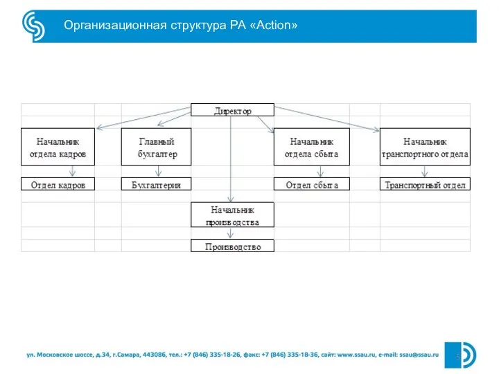 Организационная структура РА «Action»