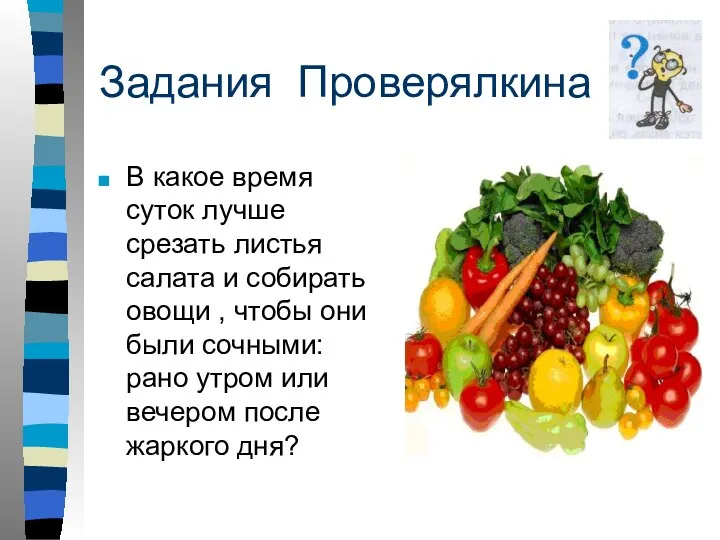 Задания Проверялкина В какое время суток лучше срезать листья салата и собирать