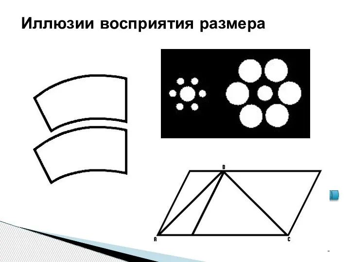 Иллюзии восприятия размера