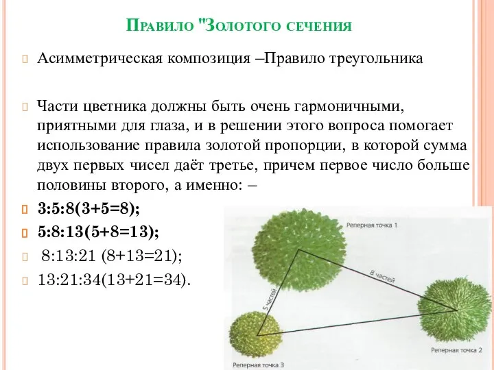 Правило "Золотого сечения Асимметрическая композиция –Правило треугольника Части цветника должны быть очень