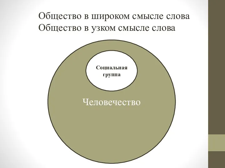 Человечество Социальная группа Общество в широком смысле слова Общество в узком смысле слова