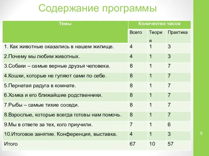 Содержание программы