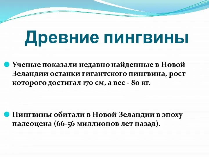 Древние пингвины Ученые показали недавно найденные в Новой Зеландии останки гигантского пингвина,