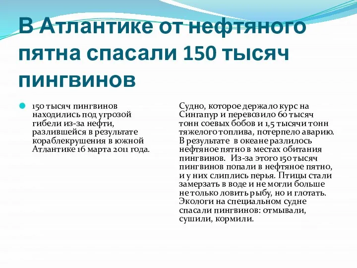 В Атлантике от нефтяного пятна спасали 150 тысяч пингвинов 150 тысяч пингвинов