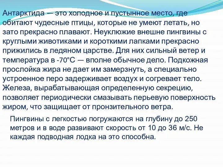 Антарктида — это холодное и пустынное место, где обитают чудесные птицы, которые