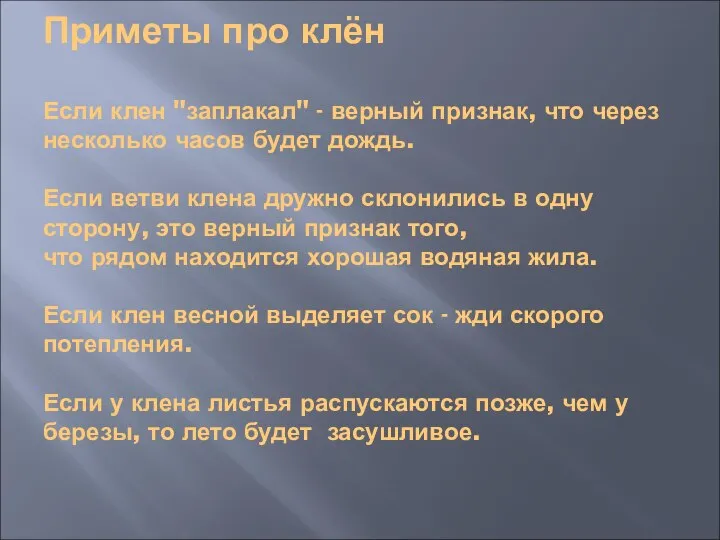 Приметы про клён Если клен "заплакал" - верный признак, что через несколько