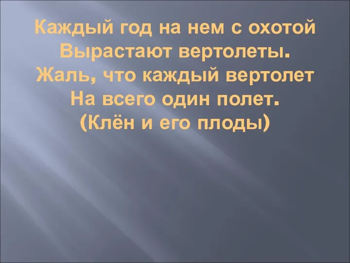 Каждый год на нем с охотой Вырастают вертолеты. Жаль, что каждый вертолет