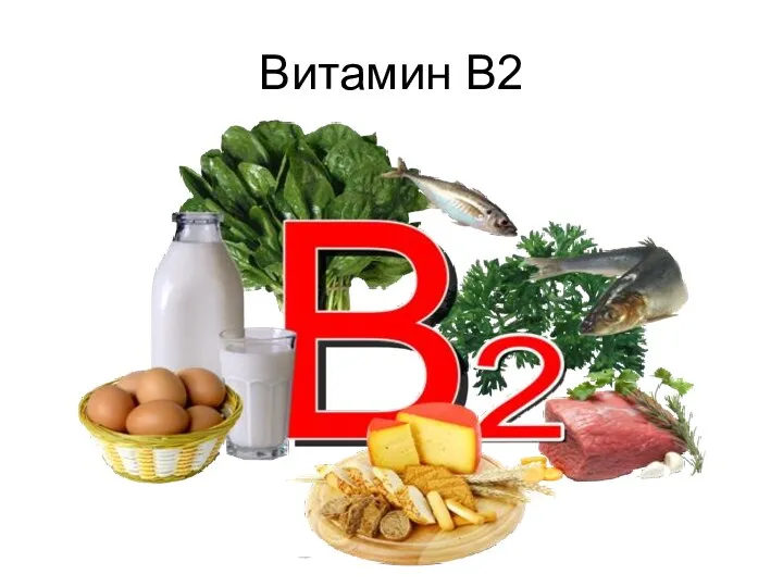 Витамин В2