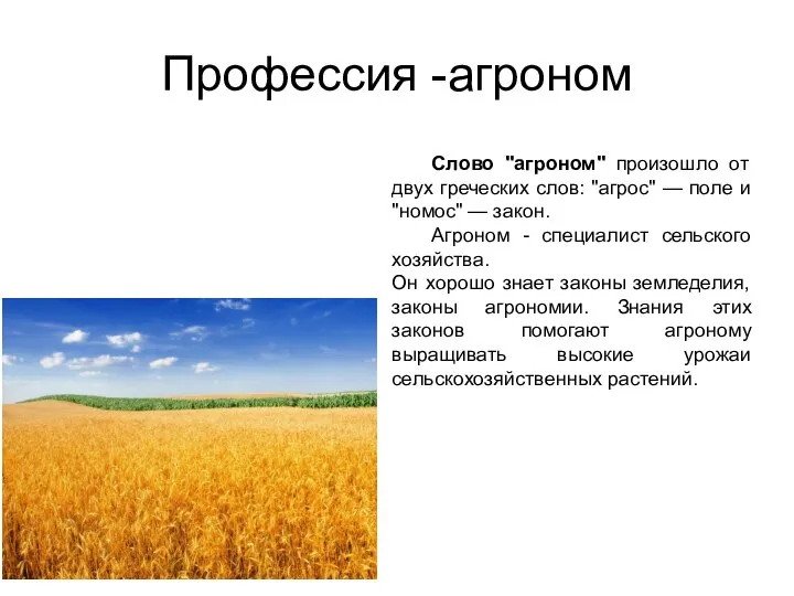 Профессия -агроном Слово "агроном" произошло от двух греческих слов: "агрос" — поле