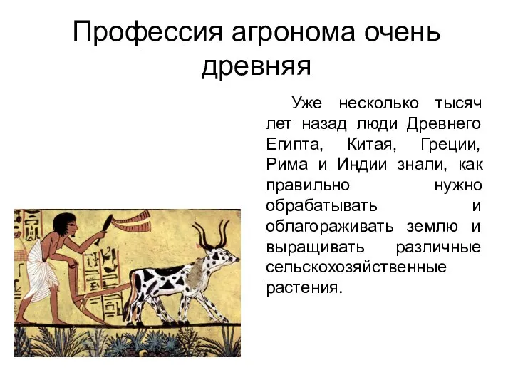 Профессия агронома очень древняя Уже несколько тысяч лет назад люди Древнего Египта,