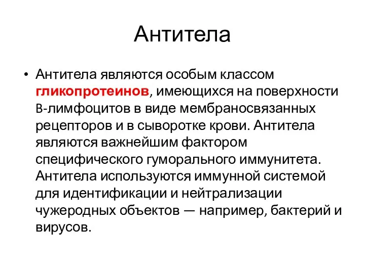 Антитела Антитела являются особым классом гликопротеинов, имеющихся на поверхности B-лимфоцитов в виде